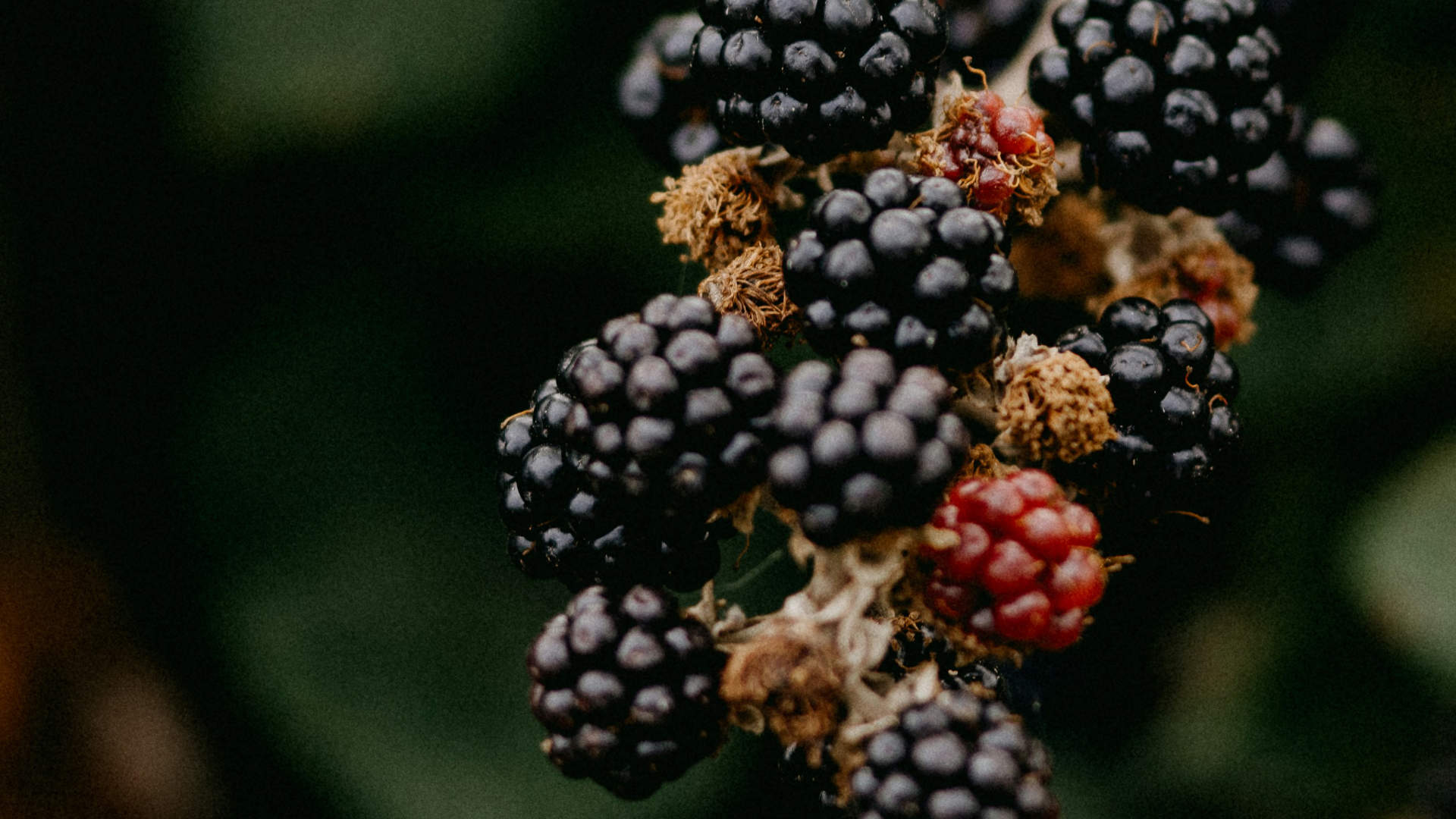 Photo by Annie Spratt on Unsplash