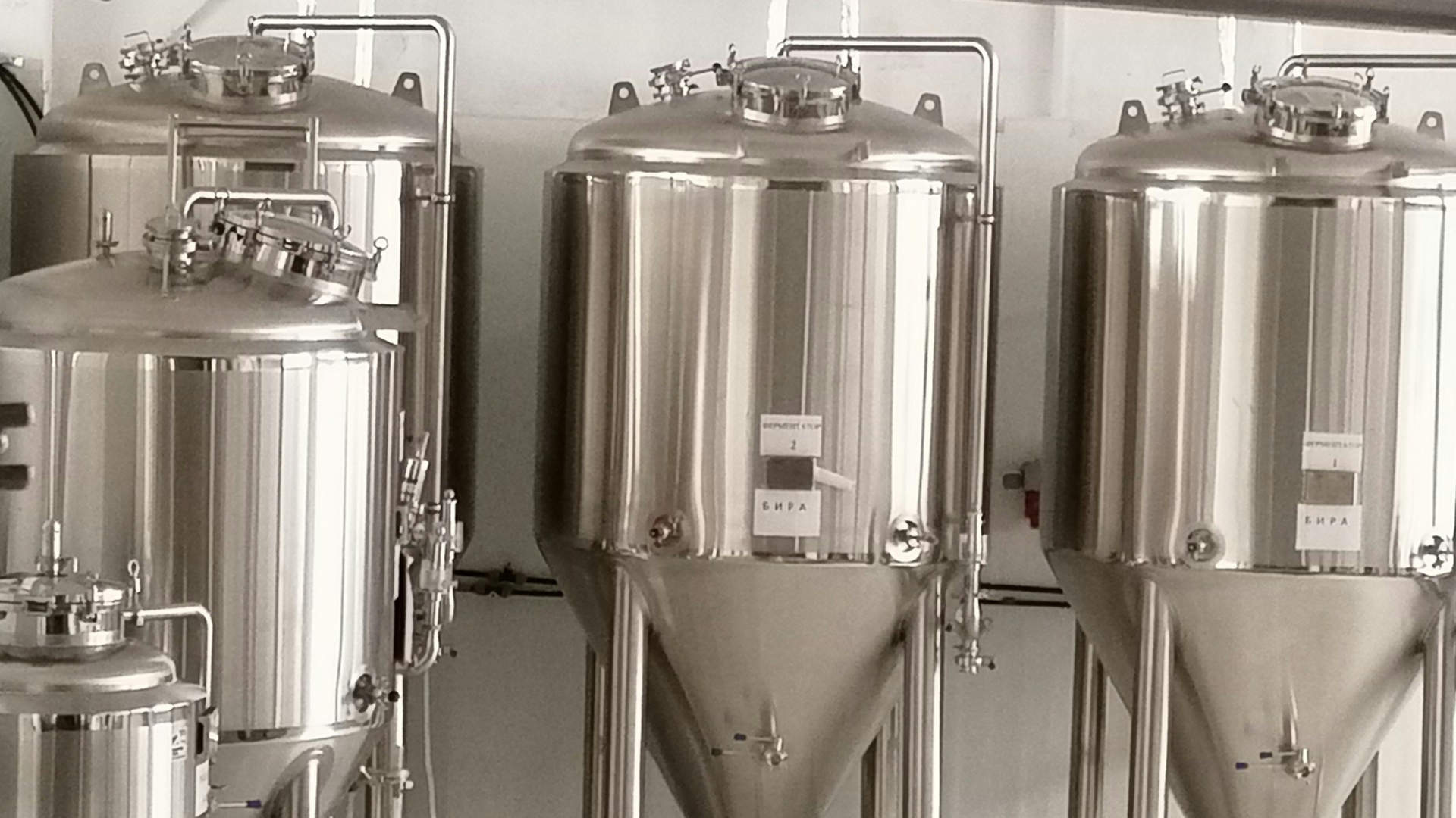 Lachezara Parvanova on Unsplash