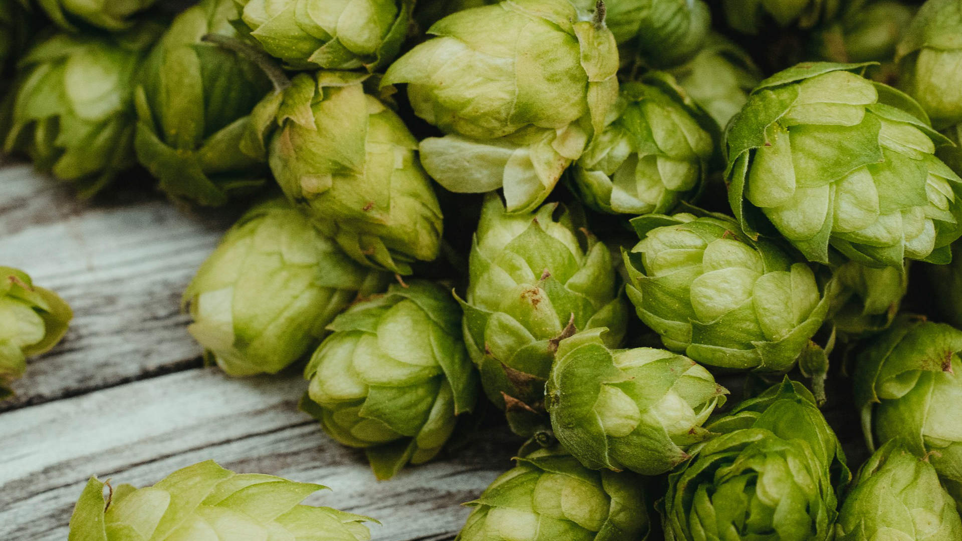 Markus Spiske on Unsplash